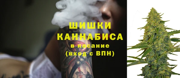 спайс Рославль