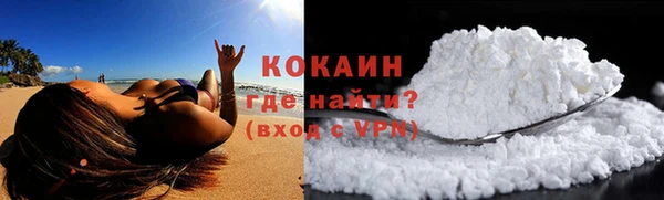 крисы Алзамай