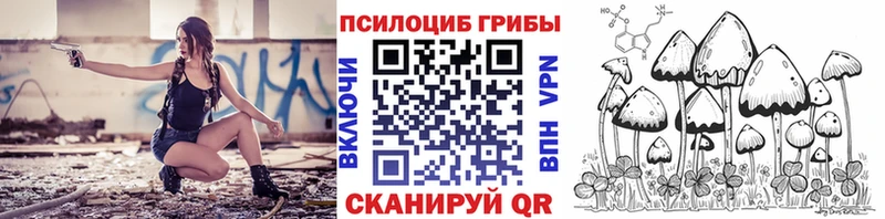 Псилоцибиновые грибы прущие грибы  цена наркотик  ссылка на мегу ONION  Лесосибирск 